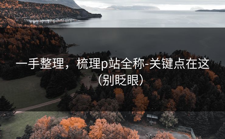 一手整理，梳理p站全称-关键点在这（别眨眼）