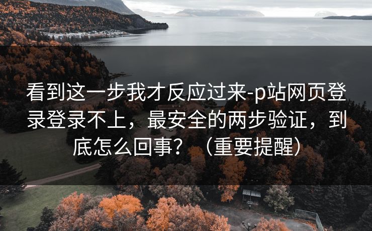 看到这一步我才反应过来-p站网页登录登录不上，最安全的两步验证，到底怎么回事？（重要提醒）