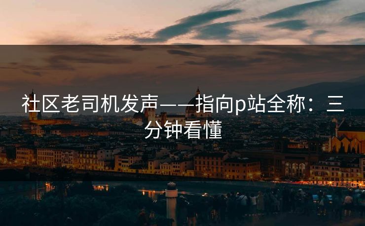 社区老司机发声——指向p站全称：三分钟看懂