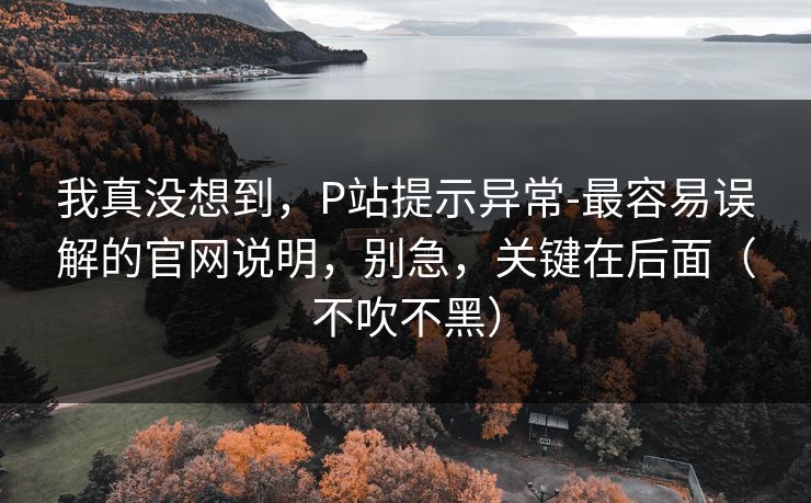 我真没想到，P站提示异常-最容易误解的官网说明，别急，关键在后面（不吹不黑）