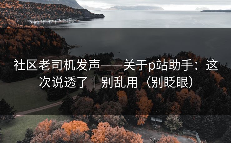 社区老司机发声——关于p站助手：这次说透了｜别乱用（别眨眼）