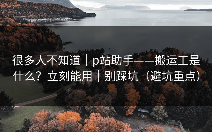 很多人不知道｜p站助手——搬运工是什么？立刻能用｜别踩坑（避坑重点）