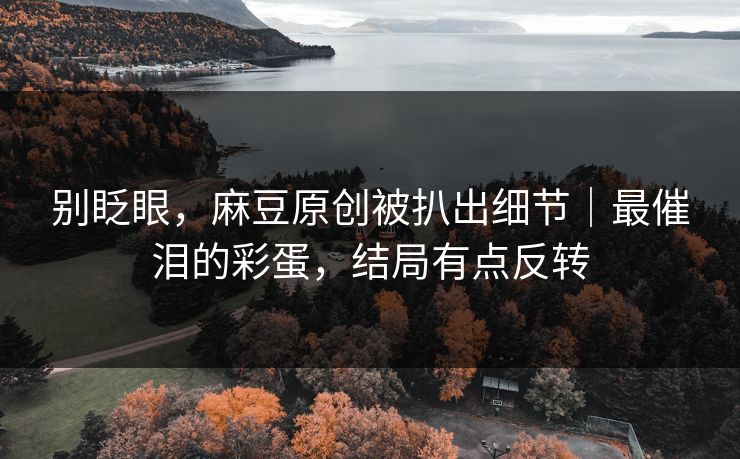 别眨眼，麻豆原创被扒出细节｜最催泪的彩蛋，结局有点反转