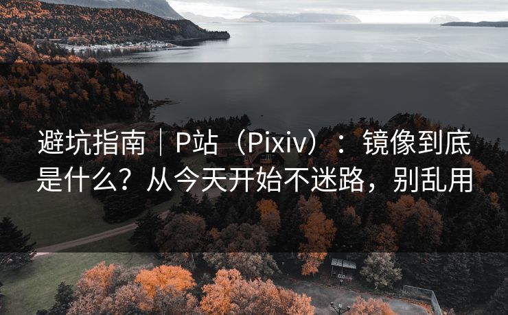 避坑指南｜P站（Pixiv）：镜像到底是什么？从今天开始不迷路，别乱用