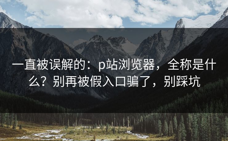 一直被误解的：p站浏览器，全称是什么？别再被假入口骗了，别踩坑