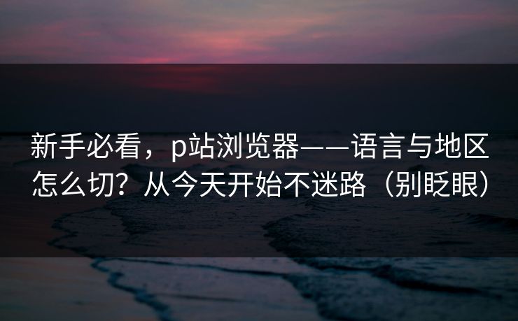 新手必看，p站浏览器——语言与地区怎么切？从今天开始不迷路（别眨眼）