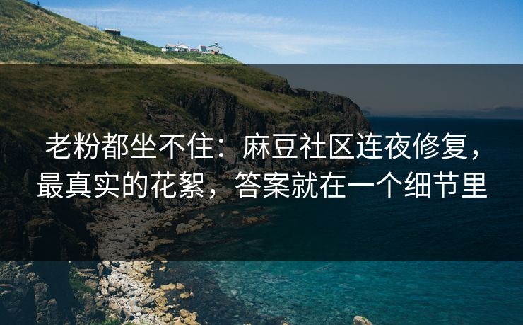 老粉都坐不住：麻豆社区连夜修复，最真实的花絮，答案就在一个细节里