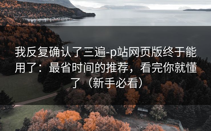 我反复确认了三遍-p站网页版终于能用了：最省时间的推荐，看完你就懂了（新手必看）