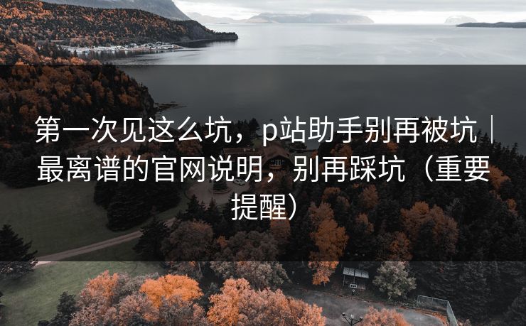 第一次见这么坑，p站助手别再被坑｜最离谱的官网说明，别再踩坑（重要提醒）