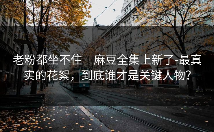 老粉都坐不住｜麻豆全集上新了-最真实的花絮，到底谁才是关键人物？