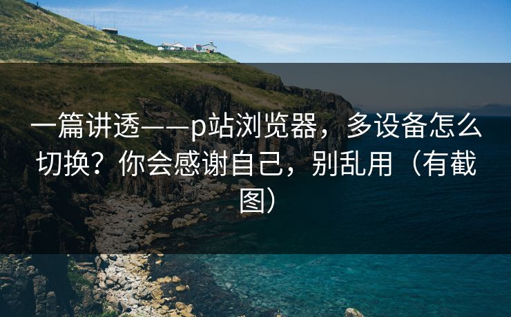 一篇讲透——p站浏览器，多设备怎么切换？你会感谢自己，别乱用（有截图）