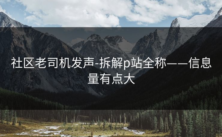 社区老司机发声-拆解p站全称——信息量有点大