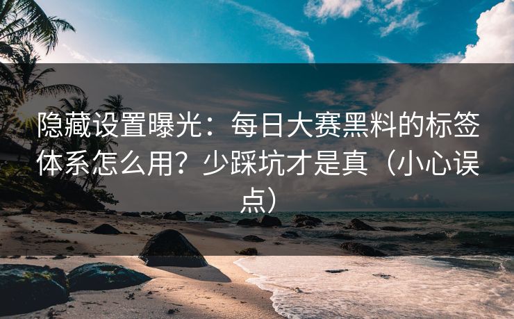 隐藏设置曝光：每日大赛黑料的标签体系怎么用？少踩坑才是真（小心误点）